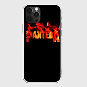 Чехол для iPhone 12 Pro Max с принтом Pantera в Санкт-Петербурге, Силикон |  | Тематика изображения на принте: american | anselmo | havy metal | pantera | philip anselmo | trash metal | ансельмо | пантера | фил ансельмо