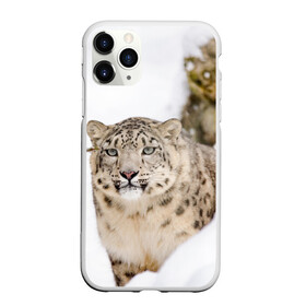 Чехол для iPhone 11 Pro матовый с принтом Ирбис в Санкт-Петербурге, Силикон |  | snow leopard | барс | барсы | животное | животные | звери | зверь | зима | зимы | ирбис | киски | кот | коты | кошачьи | кошка | кошки | мохнатые | мохнатый | пятнистые | пятнистый | снег | снежный