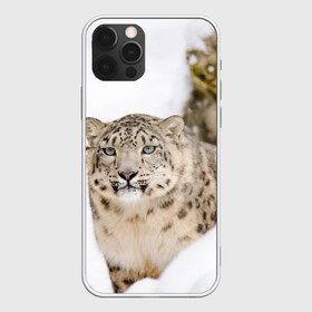 Чехол для iPhone 12 Pro Max с принтом Ирбис в Санкт-Петербурге, Силикон |  | snow leopard | барс | барсы | животное | животные | звери | зверь | зима | зимы | ирбис | киски | кот | коты | кошачьи | кошка | кошки | мохнатые | мохнатый | пятнистые | пятнистый | снег | снежный