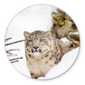 Коврик для мышки круглый с принтом Ирбис в Санкт-Петербурге, резина и полиэстер | круглая форма, изображение наносится на всю лицевую часть | snow leopard | барс | барсы | животное | животные | звери | зверь | зима | зимы | ирбис | киски | кот | коты | кошачьи | кошка | кошки | мохнатые | мохнатый | пятнистые | пятнистый | снег | снежный