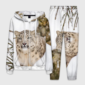 Мужской костюм 3D с принтом Ирбис в Санкт-Петербурге, 100% полиэстер | Манжеты и пояс оформлены тканевой резинкой, двухслойный капюшон со шнурком для регулировки, карманы спереди | Тематика изображения на принте: snow leopard | барс | барсы | животное | животные | звери | зверь | зима | зимы | ирбис | киски | кот | коты | кошачьи | кошка | кошки | мохнатые | мохнатый | пятнистые | пятнистый | снег | снежный
