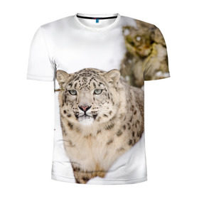 Мужская футболка 3D спортивная с принтом Ирбис в Санкт-Петербурге, 100% полиэстер с улучшенными характеристиками | приталенный силуэт, круглая горловина, широкие плечи, сужается к линии бедра | snow leopard | барс | барсы | животное | животные | звери | зверь | зима | зимы | ирбис | киски | кот | коты | кошачьи | кошка | кошки | мохнатые | мохнатый | пятнистые | пятнистый | снег | снежный