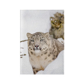 Обложка для паспорта матовая кожа с принтом Ирбис в Санкт-Петербурге, натуральная матовая кожа | размер 19,3 х 13,7 см; прозрачные пластиковые крепления | Тематика изображения на принте: snow leopard | барс | барсы | животное | животные | звери | зверь | зима | зимы | ирбис | киски | кот | коты | кошачьи | кошка | кошки | мохнатые | мохнатый | пятнистые | пятнистый | снег | снежный