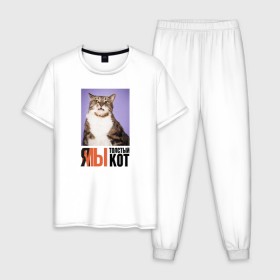 Мужская пижама хлопок с принтом Я-МЫ толстый кот в Санкт-Петербурге, 100% хлопок | брюки и футболка прямого кроя, без карманов, на брюках мягкая резинка на поясе и по низу штанин
 | викторлетай | кот | котики | мемы | приколы