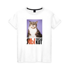 Женская футболка хлопок с принтом Я-МЫ толстый кот в Санкт-Петербурге, 100% хлопок | прямой крой, круглый вырез горловины, длина до линии бедер, слегка спущенное плечо | викторлетай | кот | котики | мемы | приколы