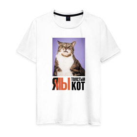 Мужская футболка хлопок с принтом Я-МЫ толстый кот в Санкт-Петербурге, 100% хлопок | прямой крой, круглый вырез горловины, длина до линии бедер, слегка спущенное плечо. | Тематика изображения на принте: викторлетай | кот | котики | мемы | приколы