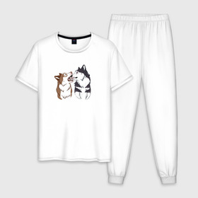 Мужская пижама хлопок с принтом Две Хаски в Санкт-Петербурге, 100% хлопок | брюки и футболка прямого кроя, без карманов, на брюках мягкая резинка на поясе и по низу штанин
 | две хаски | друзья | питомцы | рисунок | собаки | хаски
