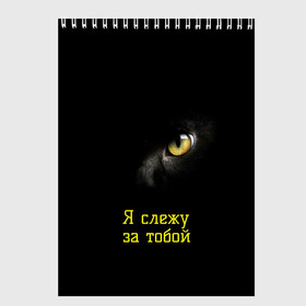 Скетчбук с принтом Следящий кошачий глаз в Санкт-Петербурге, 100% бумага
 | 48 листов, плотность листов — 100 г/м2, плотность картонной обложки — 250 г/м2. Листы скреплены сверху удобной пружинной спиралью | кот в темноте | кошачий глаз