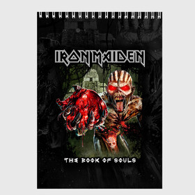 Скетчбук с принтом Iron Maiden в Санкт-Петербурге, 100% бумага
 | 48 листов, плотность листов — 100 г/м2, плотность картонной обложки — 250 г/м2. Листы скреплены сверху удобной пружинной спиралью | heavy metal | iron maiden | metal | айрон мейден | группы | метал | музыка | рок | хеви метал