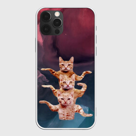 Чехол для iPhone 12 Pro Max с принтом Танцующие коты в Санкт-Петербурге, Силикон |  | cats | забавный | котики | коты | мем | прикол | смешная | танцующие коты