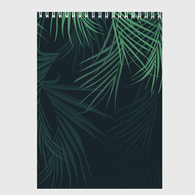 Скетчбук с принтом Пальмовый узор в Санкт-Петербурге, 100% бумага
 | 48 листов, плотность листов — 100 г/м2, плотность картонной обложки — 250 г/м2. Листы скреплены сверху удобной пружинной спиралью | джунгли | зелёный | лепестки | лепесток | лес | листья | пальма | пальмы | папоротник | салатовый | тропики | черный