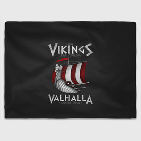 Плед 3D с принтом Vikings Valhalla в Санкт-Петербурге, 100% полиэстер | закругленные углы, все края обработаны. Ткань не мнется и не растягивается | floki | history | ivar | lagertha | ragnar lothbrok | rollo | the boneless | бескостный | викинги | ивар | история | лагерта | рагнар лодброк | ролло | флоки