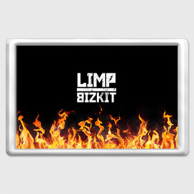 Магнит 45*70 с принтом Limp Bizkit  в Санкт-Петербурге, Пластик | Размер: 78*52 мм; Размер печати: 70*45 | bizkit | limp | limp bizkit | music | rock | бизкиты | лимп бизкит | лимпы | липкие письки | музыка | рок