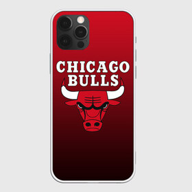 Чехол для iPhone 12 Pro Max с принтом CHICAGO BULLS в Санкт-Петербурге, Силикон |  | bulls | chicago | chicago bulls | nba | red bulls | usa | америка | быки | нба | сша | чикаго буллс