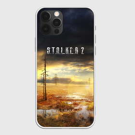 Чехол для iPhone 12 Pro Max с принтом STALKER 2 в Санкт-Петербурге, Силикон |  | s.t.a.l.k.e.r. | stalker | арт | зона | зона отчуждения | игра | мутант | пейзаж | припять | радиация | радиоктивный фон | сталкер | чернобыль