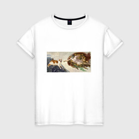 Женская футболка хлопок с принтом Сотворение Адама и кот в Санкт-Петербурге, 100% хлопок | прямой крой, круглый вырез горловины, длина до линии бедер, слегка спущенное плечо | mem | memes | весело | искусство | кот | котик | мем | прикол | сотворение адама