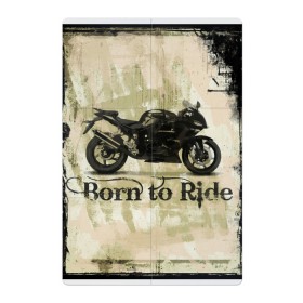 Магнитный плакат 2Х3 с принтом Born to Ride в Санкт-Петербурге, Полимерный материал с магнитным слоем | 6 деталей размером 9*9 см | байк | байкер | байкеру | байкерше | беспечный ездок | ветер | гонки | дорога | езда | ездок | мото | мотобайк | мотогонки | мотокросс | мотор | мотоспорт | мотоцикл | мотоциклист | мотоциклисту