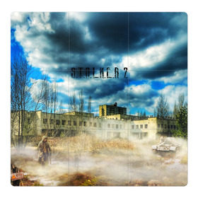 Магнитный плакат 3Х3 с принтом STALKER 2(Чернобыль) в Санкт-Петербурге, Полимерный материал с магнитным слоем | 9 деталей размером 9*9 см | metro | s.t.a.l.k.e.r. | stalker | зов припяти | игра | метро | мутант | пейзаж | припять | радиация | сталкер | сталкер 2 | чернобыль