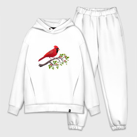Мужской костюм хлопок OVERSIZE с принтом Красный кардинал в Санкт-Петербурге,  |  | cardinalis cardinalis | красный кардинал | новогодняя птица | птица | птичка | рождественская птица