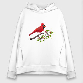 Женское худи Oversize хлопок с принтом Красный кардинал в Санкт-Петербурге, френч-терри — 70% хлопок, 30% полиэстер. Мягкий теплый начес внутри —100% хлопок | боковые карманы, эластичные манжеты и нижняя кромка, капюшон на магнитной кнопке | cardinalis cardinalis | красный кардинал | новогодняя птица | птица | птичка | рождественская птица