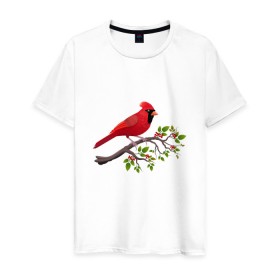 Мужская футболка хлопок с принтом Красный кардинал в Санкт-Петербурге, 100% хлопок | прямой крой, круглый вырез горловины, длина до линии бедер, слегка спущенное плечо. | cardinalis cardinalis | красный кардинал | новогодняя птица | птица | птичка | рождественская птица