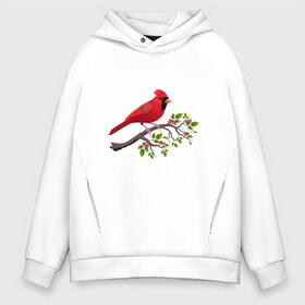 Мужское худи Oversize хлопок с принтом Красный кардинал в Санкт-Петербурге, френч-терри — 70% хлопок, 30% полиэстер. Мягкий теплый начес внутри —100% хлопок | боковые карманы, эластичные манжеты и нижняя кромка, капюшон на магнитной кнопке | cardinalis cardinalis | красный кардинал | новогодняя птица | птица | птичка | рождественская птица