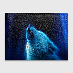 Обложка для студенческого билета с принтом Волк воет на луну в Санкт-Петербурге, натуральная кожа | Размер: 11*8 см; Печать на всей внешней стороне | Тематика изображения на принте: волк | животные | зверь | ночь | фото | хищник