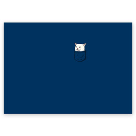 Поздравительная открытка с принтом СМАДЖ В КАРМАНЕ  в Санкт-Петербурге, 100% бумага | плотность бумаги 280 г/м2, матовая, на обратной стороне линовка и место для марки
 | confused cat at dinner | woman yelling | белый кот | женщина орет на кота | кот | кот мем | кот смадж | котики | кошка | мем | мем с котом | мемы | прикол | смадж | юмор