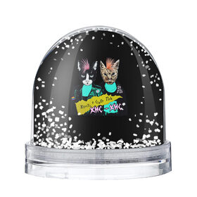 Снежный шар с принтом Кис-Кис в Санкт-Петербурге, Пластик | Изображение внутри шара печатается на глянцевой фотобумаге с двух сторон | punk | punk rock | rock | алина олешева | кис | кис кис | кокос | панк | панк рок | рок | софья сомусева | хмурый