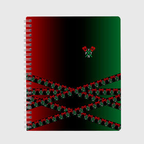 Тетрадь с принтом ТИКТОКЕР - PAYTON MOORMEIE в Санкт-Петербурге, 100% бумага | 48 листов, плотность листов — 60 г/м2, плотность картонной обложки — 250 г/м2. Листы скреплены сбоку удобной пружинной спиралью. Уголки страниц и обложки скругленные. Цвет линий — светло-серый
 | payton | payton moormeie | блогер | знаменитость | пейтон | пейтон моормиер | тиктоенр