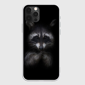 Чехол для iPhone 12 Pro Max с принтом енот в Санкт-Петербурге, Силикон |  | енот | енот хайп | еноты | животные | лайв тудей