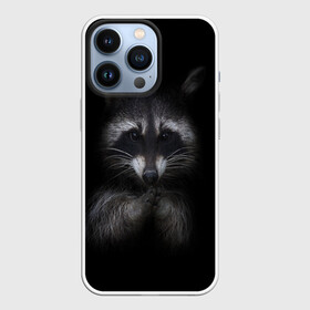 Чехол для iPhone 13 Pro с принтом енот в Санкт-Петербурге,  |  | енот | енот хайп | еноты | животные | лайв тудей