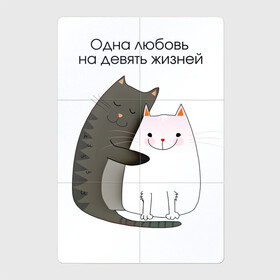 Магнитный плакат 2Х3 с принтом Любовь на девять жизней в Санкт-Петербурге, Полимерный материал с магнитным слоем | 6 деталей размером 9*9 см | 14 февраля | 8 марта | валентинов день | верность | влюбленность | влюбленные | вместе навсегда | двое | девичник | девушке | кот | коты | кошка | кошки | любимая | любимый | люблю | люблю тебя | мы с тобо
