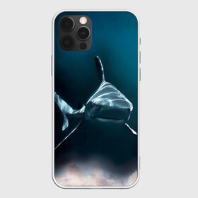 Чехол для iPhone 12 Pro Max с принтом акула в Санкт-Петербурге, Силикон |  | fish | sea | shark | акула | водоросли | майки с морем | майки с прикольными рыбками | майки с рыбками | море | морская рыба | морские картинки | морские фото | прикольные рыбки | рыба | рыбка | хищная рыба