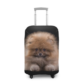 Чехол для чемодана 3D с принтом Рыжий Шпиц в Санкт-Петербурге, 86% полиэфир, 14% спандекс | двустороннее нанесение принта, прорези для ручек и колес | детская | женская | купить | мужская | пес | рисунки щенков | рыжий | с принтом | с собаками | с собакой | со шпицами | со щенком | собака | собаки | шпиц | щенок