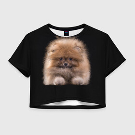 Женская футболка Crop-top 3D с принтом Рыжий Шпиц в Санкт-Петербурге, 100% полиэстер | круглая горловина, длина футболки до линии талии, рукава с отворотами | детская | женская | купить | мужская | пес | рисунки щенков | рыжий | с принтом | с собаками | с собакой | со шпицами | со щенком | собака | собаки | шпиц | щенок