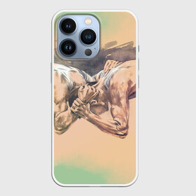 Чехол для iPhone 13 Pro с принтом Борьба в Санкт-Петербурге,  |  | sport | wrestling | борьба | вольная | греко римская | единоборство | спорт