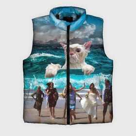 Мужской жилет утепленный 3D с принтом Морской Кошак в Санкт-Петербурге,  |  | cat | mem | mems | вода | волны | кот | котейка | котик | кошак | кошка | мем | мем с котом | мемы | мемы с котом | мокрый кот | море | морской кот | морской кошак | облака | океан | прикол | приколы | тучи | шторм