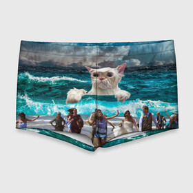 Мужские купальные плавки 3D с принтом Морской Кошак в Санкт-Петербурге, Полиэстер 85%, Спандекс 15% |  | Тематика изображения на принте: cat | mem | mems | вода | волны | кот | котейка | котик | кошак | кошка | мем | мем с котом | мемы | мемы с котом | мокрый кот | море | морской кот | морской кошак | облака | океан | прикол | приколы | тучи | шторм