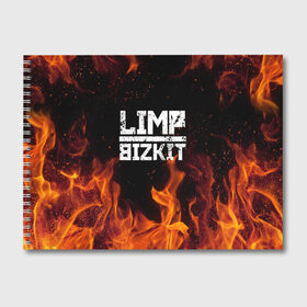 Альбом для рисования с принтом LIMP BIZKIT в Санкт-Петербурге, 100% бумага
 | матовая бумага, плотность 200 мг. | Тематика изображения на принте: dj lethal | limp bizkit | rock | джон отто | лимп бизкит | майк смит | музыка | роб уотерс | рок | сэм риверс | терри бальзамо | уэс борланд | фред дёрст