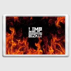 Магнит 45*70 с принтом LIMP BIZKIT в Санкт-Петербурге, Пластик | Размер: 78*52 мм; Размер печати: 70*45 | dj lethal | limp bizkit | rock | джон отто | лимп бизкит | майк смит | музыка | роб уотерс | рок | сэм риверс | терри бальзамо | уэс борланд | фред дёрст