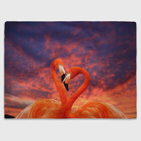 Плед 3D с принтом Flamingo Love в Санкт-Петербурге, 100% полиэстер | закругленные углы, все края обработаны. Ткань не мнется и не растягивается | Тематика изображения на принте: 14 февраля | 8 марта | валентинов день | верность | влюбленность | влюбленные | вместе | вместе навсегда | девушке | женат | женский день | женский праздник | закат | замужем | кружка | любимая