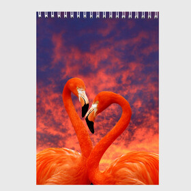 Скетчбук с принтом Flamingo Love в Санкт-Петербурге, 100% бумага
 | 48 листов, плотность листов — 100 г/м2, плотность картонной обложки — 250 г/м2. Листы скреплены сверху удобной пружинной спиралью | 14 февраля | 8 марта | валентинов день | верность | влюбленность | влюбленные | вместе | вместе навсегда | девушке | женат | женский день | женский праздник | закат | замужем | кружка | любимая