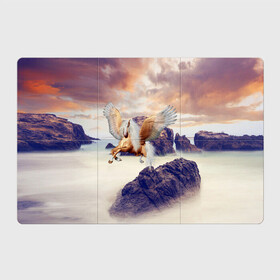 Магнитный плакат 3Х2 с принтом Sea Sunset Horse в Санкт-Петербурге, Полимерный материал с магнитным слоем | 6 деталей размером 9*9 см | вечернее небо | закат | конь | крылатый | крылья | легенды | летающий | лошадь | мистический | мифология | мифы | море | морской | облака | облачность | пегас | плед | погода | подушка | скалы | сумка