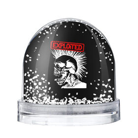 Снежный шар с принтом The Exploited в Санкт-Петербурге, Пластик | Изображение внутри шара печатается на глянцевой фотобумаге с двух сторон | punks | punks not dead | the exploited | панк не сдох | панки | уоти | череп | эксплоитед