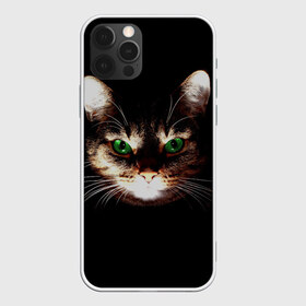 Чехол для iPhone 12 Pro Max с принтом Зеленоглазый кот в Санкт-Петербурге, Силикон |  | Тематика изображения на принте: зеленые глаза | кот | котик | кошак | кошатнику | кошатнице | кошачий портрет | кошка | кошка с зелеными глазами | кружка | любительнице ко | любителю кошек | подушка | полосатый кот | портрет кота