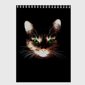 Скетчбук с принтом Зеленоглазый кот в Санкт-Петербурге, 100% бумага
 | 48 листов, плотность листов — 100 г/м2, плотность картонной обложки — 250 г/м2. Листы скреплены сверху удобной пружинной спиралью | зеленые глаза | кот | котик | кошак | кошатнику | кошатнице | кошачий портрет | кошка | кошка с зелеными глазами | кружка | любительнице ко | любителю кошек | подушка | полосатый кот | портрет кота
