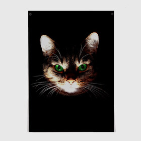 Постер с принтом Зеленоглазый кот в Санкт-Петербурге, 100% бумага
 | бумага, плотность 150 мг. Матовая, но за счет высокого коэффициента гладкости имеет небольшой блеск и дает на свету блики, но в отличии от глянцевой бумаги не покрыта лаком | зеленые глаза | кот | котик | кошак | кошатнику | кошатнице | кошачий портрет | кошка | кошка с зелеными глазами | кружка | любительнице ко | любителю кошек | подушка | полосатый кот | портрет кота