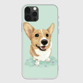 Чехол для iPhone 12 Pro Max с принтом КОРГИ в Санкт-Петербурге, Силикон |  | animals | corgi | dogs | pets | puppies | queen | животные | корги | королева | песики | питомцы | собаки | щенки