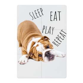 Магнитный плакат 2Х3 с принтом Sleep Eat Play Repeat (Бульдог) в Санкт-Петербурге, Полимерный материал с магнитным слоем | 6 деталей размером 9*9 см | bulldog | dog | puppy | sleep eat play repeat | английский бульдог | бульдог | бульдог английский | веселая собака | веселый щенок | игривый щенок | мысли с | мысли щенка | рыжая собака | рыжий щенок | собачья жизнь